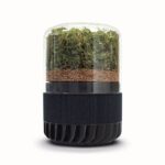 Briiv 2 Eco-Friendly Natural Filter Air Purifier – Black