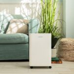 Deshumidificador Cecotec BigDry 8000 Expert Connected 16 l/día